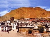 �^�V�����|���S�i