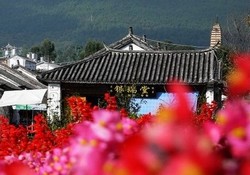 �`�x�b�g���̂��Ղ�