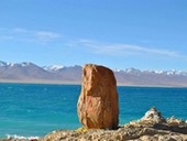 �Ẵi���c�H�̕��i