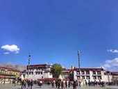 ���V�̃W���J��