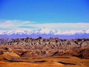 �g������