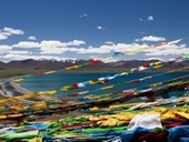 �i���c�H�̕��i