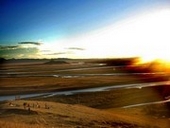 �]���Q�̑���