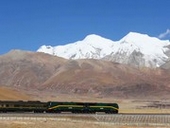 �`�x�b�g�̕��͋C�����Ղ�o���R��