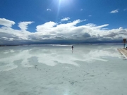 �Ă̒��J����