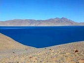 �y���O���c�H�̕��i