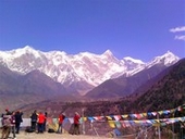 �V�`�x�b�g�c�A�[�A�i���`���o�����̗E�p