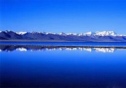 �e�B�����[�֌����������q�}�����R����]��